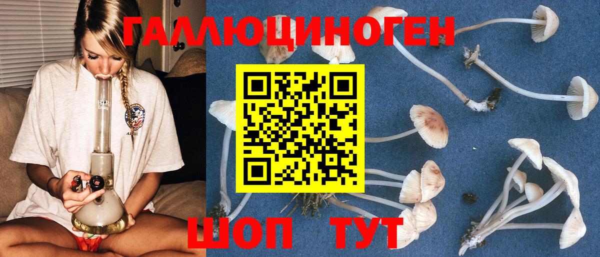 Псилоцибиновые грибы мухоморы  Вход с VPN  Северск 